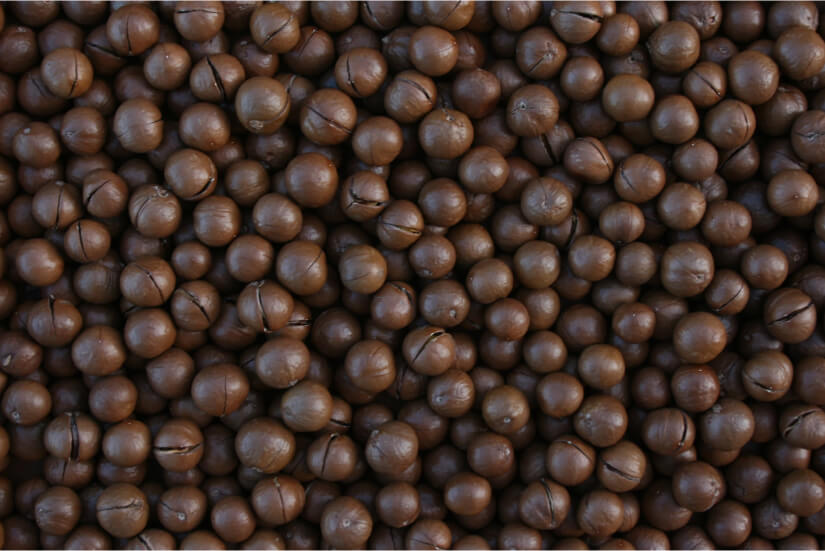 Macadamia 500g