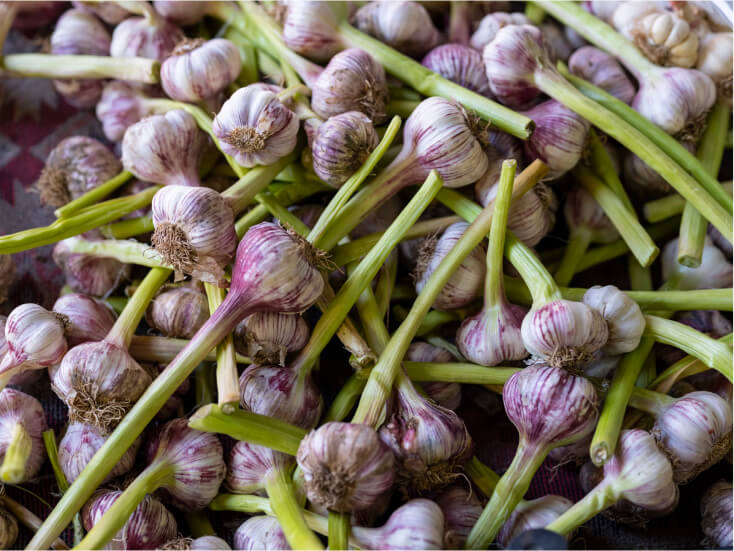 Garlic 1kg